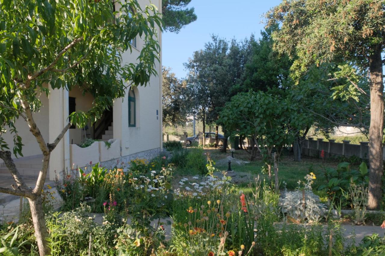 Apartmani Bosiljka Nin Luaran gambar