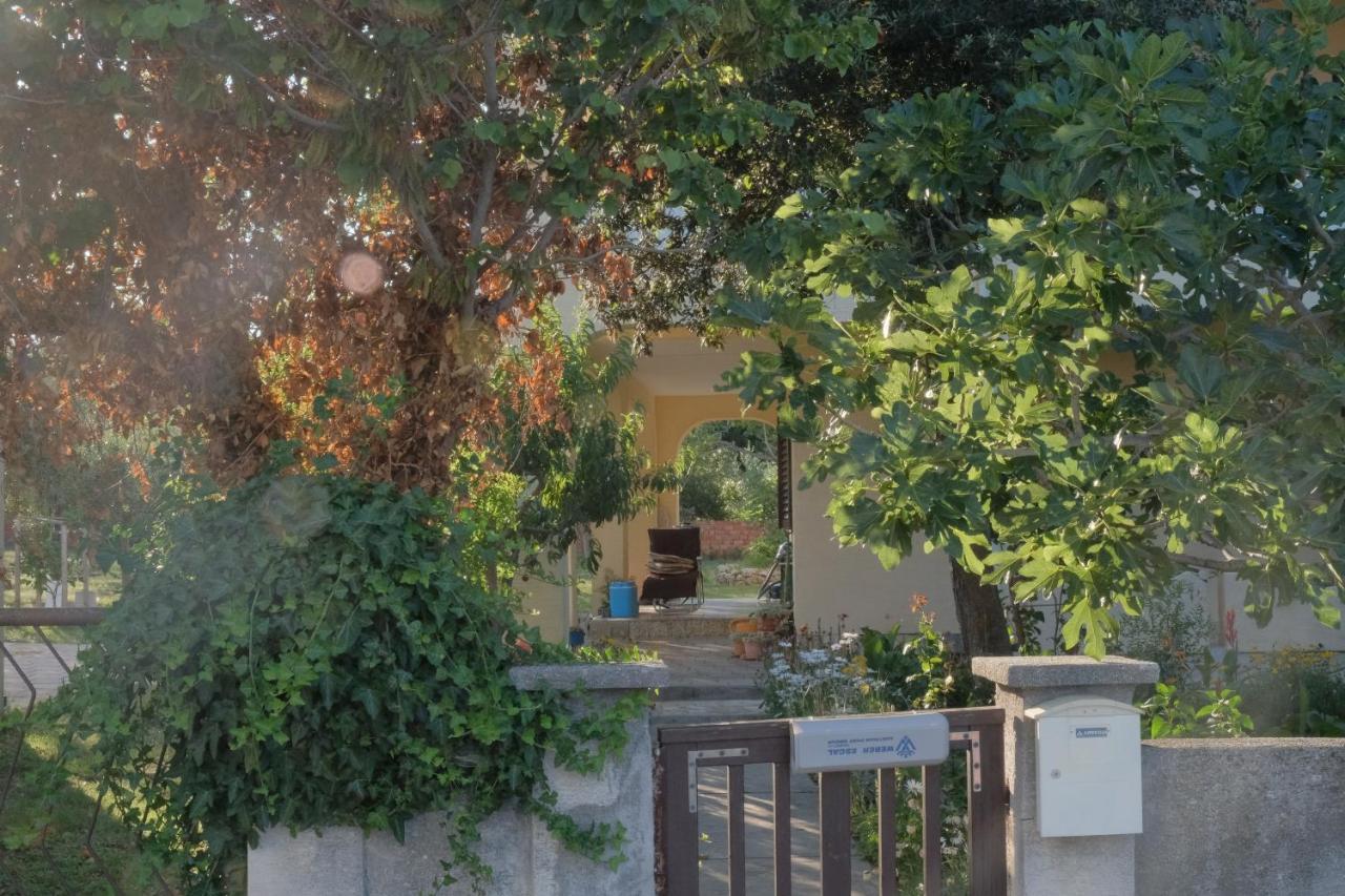 Apartmani Bosiljka Nin Luaran gambar