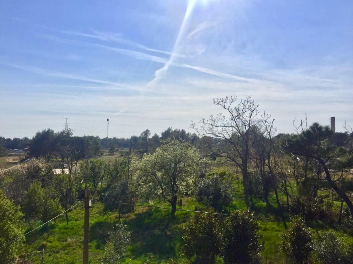 Apartmani Bosiljka Nin Luaran gambar