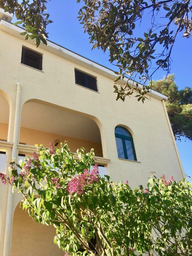 Apartmani Bosiljka Nin Luaran gambar